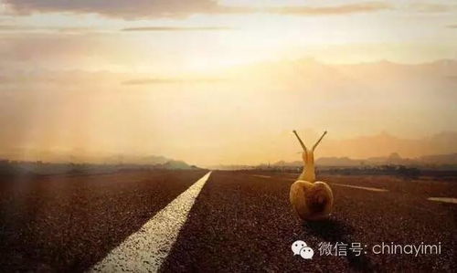 第一章：命中注定要被诅咒的人