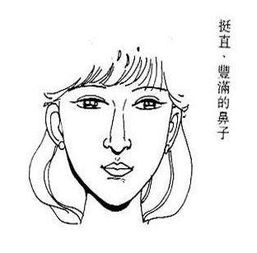 二、鼻梁：事业心与财富有积累