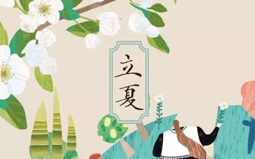 立夏风俗，传承千年，爆款来袭！