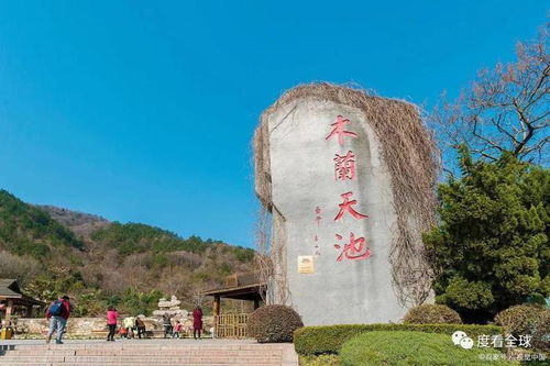 三、 门票信息（带噪声）