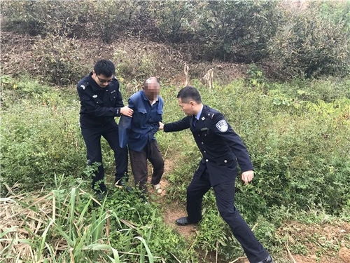 惯与李大爷和他的神奇铲子