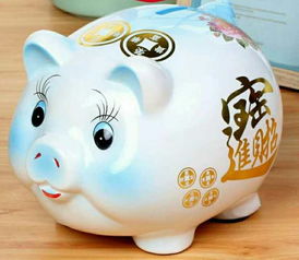 猪猪の养护秘籍大公开