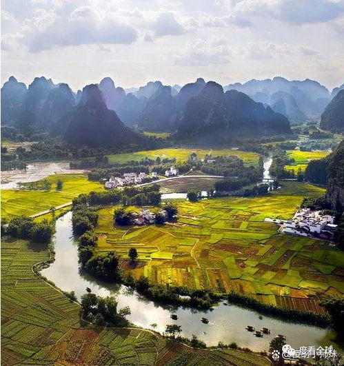 美食之旅：品尝北国佳肴