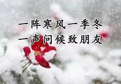 一、为哪些说较大雪诞生的龙凤胎名字不一般？