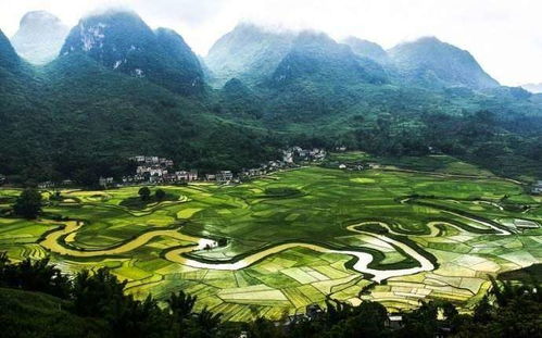 三、天气预报——晴天还是雾霾？随机应变才是王道！