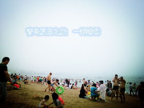 2）较深圳世界之窗（缩微版）