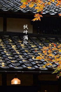 宁波立冬：古韵今风，传统与现代交融爆款
