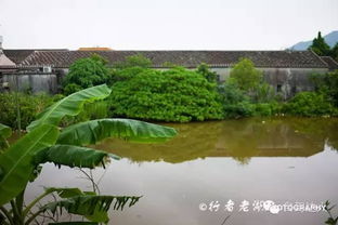 那些旅游平台都是骗子！