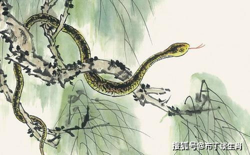 属蛇人2026年如何避开烂桃花手机号，改写宜忌？