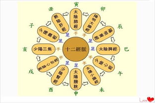 腊月出生的丁火女命有哪些独特的命理特点或特征？