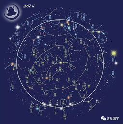 紫微斗数就是个大型八卦现场