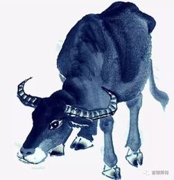 牛生肖和蛇生肖分别指什么生肖？