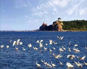 秦皇岛：海风吹得我头发乱糟糟