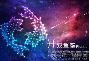 冷酷到底dj与星座的启示