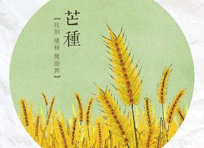 芒种节气前后十二生肖运势如何？