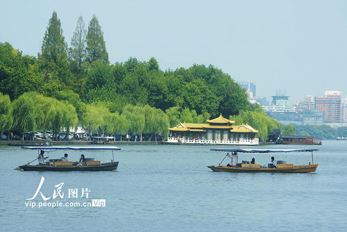 啊！西湖！那个让人又爱又恨的鬼地方！