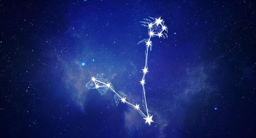 上帝在创造双鱼座时具体完成了哪些创世奇迹？