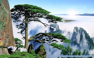 一个不太靠谱的 黄山的探索