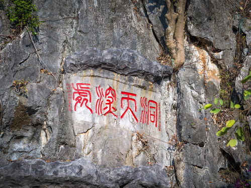 数据会说话！穷游时代的到来