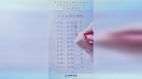 十二生肖对待婚姻的关键词，12生肖最佳姻缘配对书具体内容是什么？