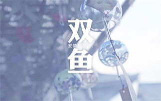 当咸鱼遇上野马：一场关于星座的胡言乱语