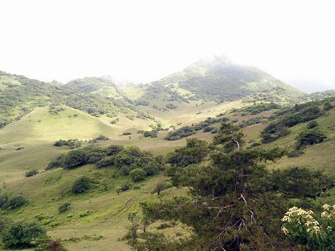 徒步探索隐藏小径：森林深处的小秘密
