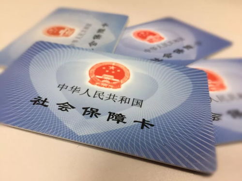 2026年谢雨桐名字爱情财运测算，有哪本姓名算命书籍推荐？