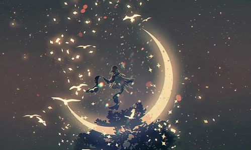 星座视角：月光、 手掌与十二宫的暗号