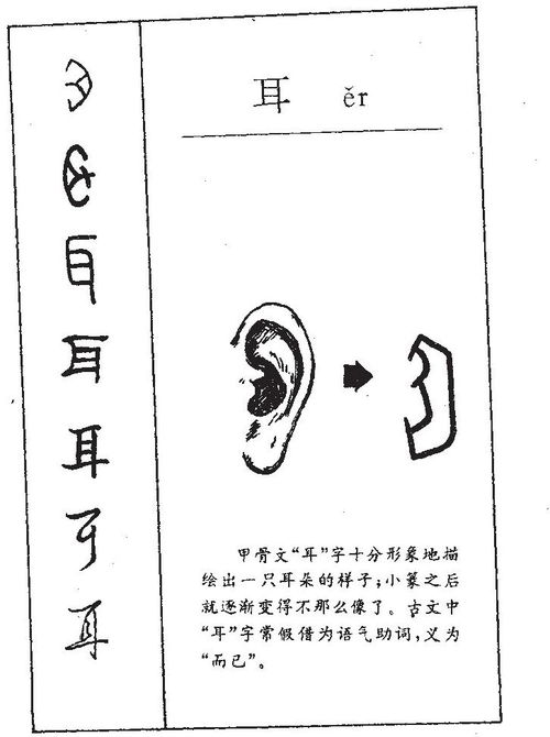 钳耳姓名的独特魅力与命名考量