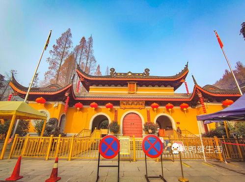 淡季去简直赚翻了