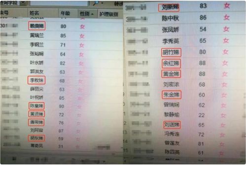 第一章：名字的溯源与含义解析