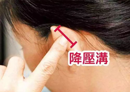 别忽略了耳朵后面：安眠穴的秘密花园