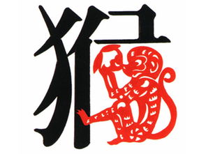 猴年黄姓宝宝取名，这些建议你不得不看！