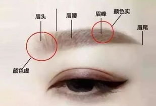 眉毛间八字纹好不好，眉毛几年纹一次最合适？