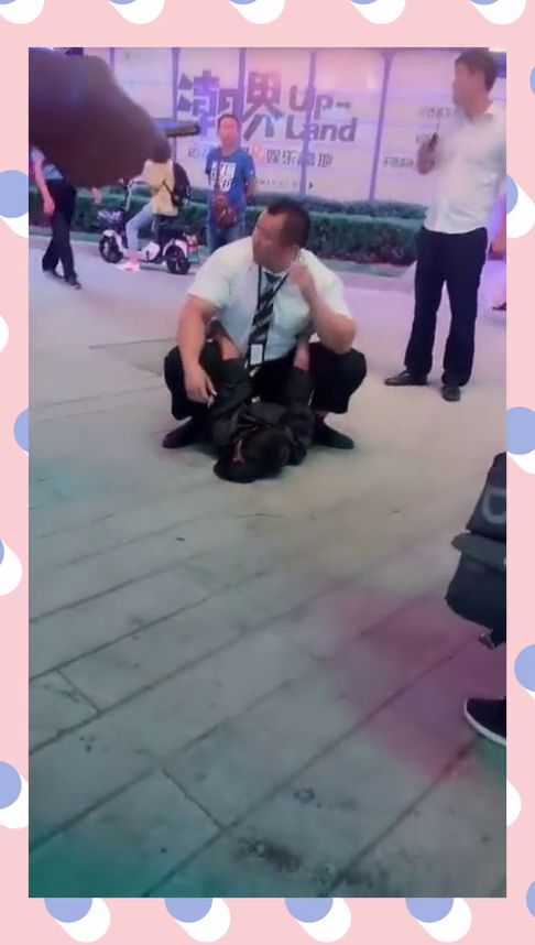 第二章：板凳砸柜引发的血案