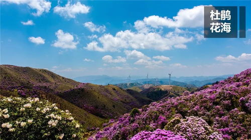 凉山奇遇记：当温泉遇见暴风雪
