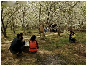 鲁磨路附近的农家乐：接地气的选择