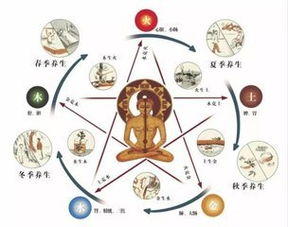 零基础学八字算命,壬水先生零基础学八字