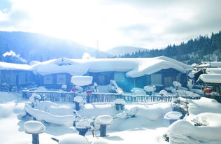 一、雪乡？不存在的！冬日敦化的另一种魅力