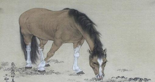 哪个生肖本领最强？本领最大的动物打哪个生肖？