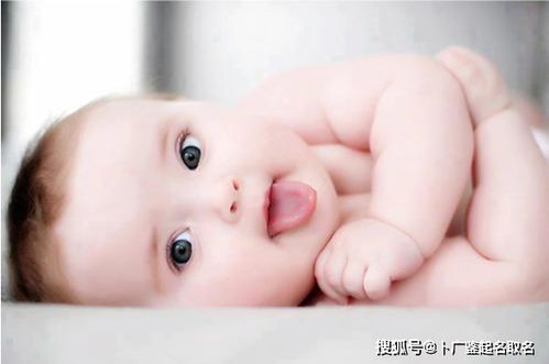 必备材料清单