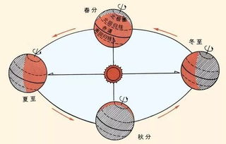 躲春的神秘面纱