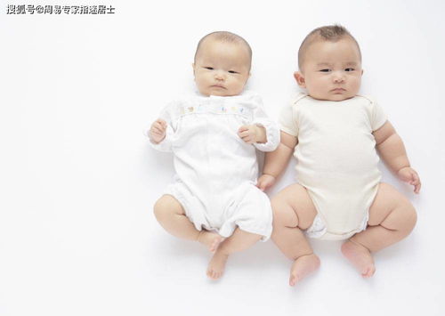 属相的“孕气”：
