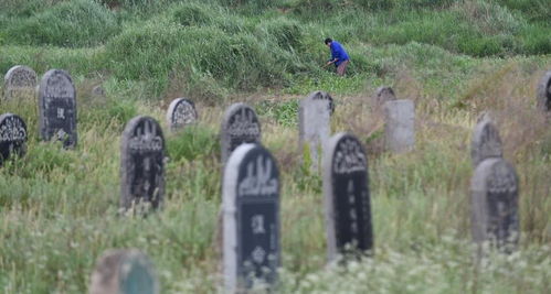 乱动坟墓的可怕后果