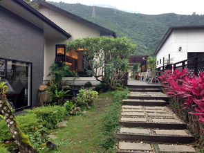 聚龙小镇！我的梦中情宿！