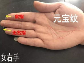 手相分析：易负债人群特征