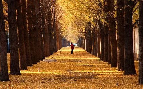 路程较小贴士：沪宁较高速→无锡东出口→太湖较大道→蠡溪路左转→环湖路→过宝界桥右转→鼋渚路……