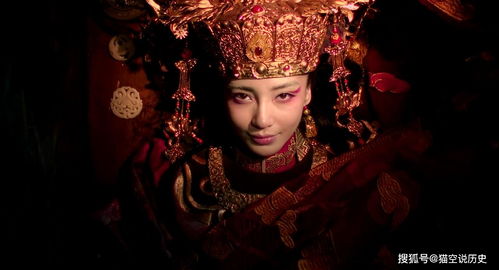 生肖兔的恐惧：胆小如鼠不是我的错