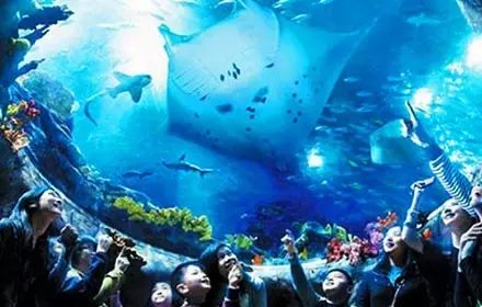亲子乐园：沈阳海洋公园