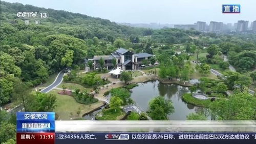 江门五一特色民宿体验，露营区有哪些好选择？